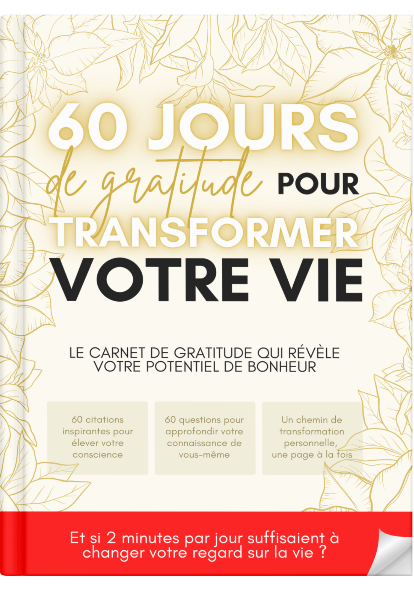 60 jours de gratitude